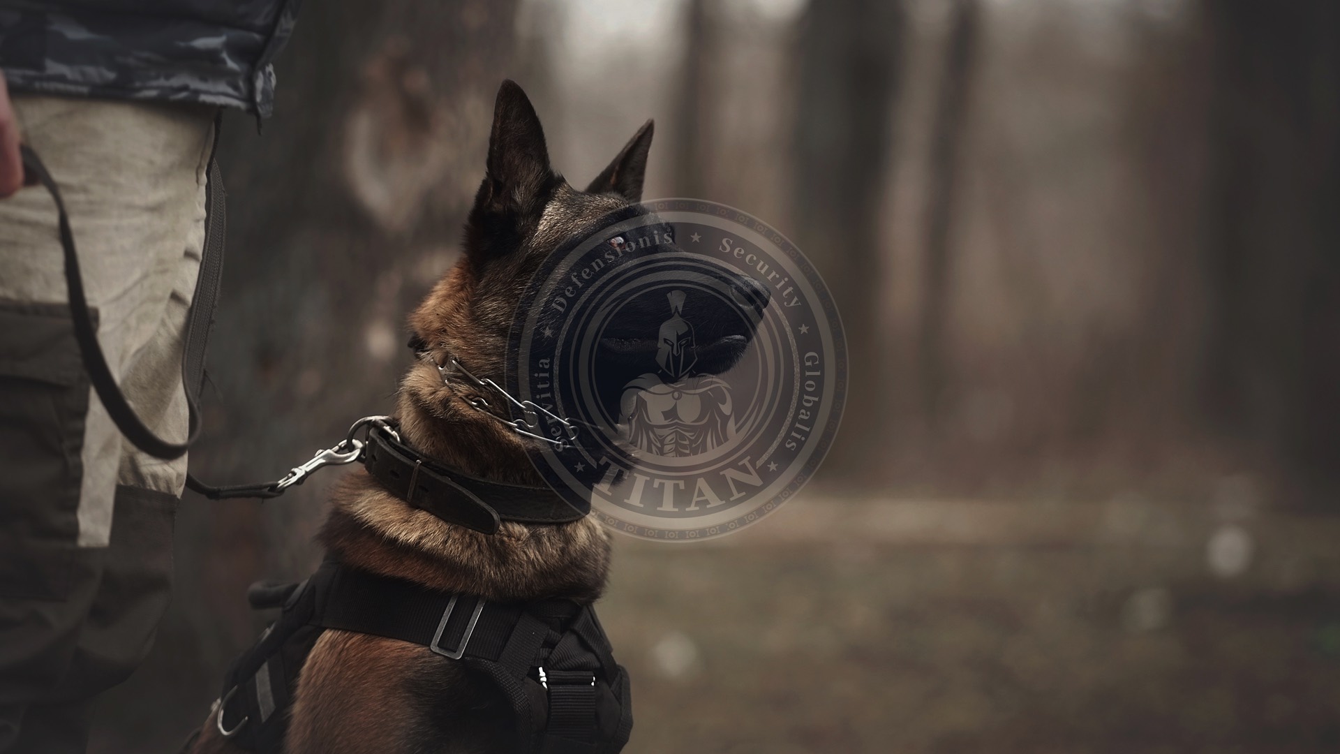 Explosives Detection And Security Consultancy Services